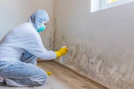 Best Biohazard Mold Removal  in Phenix City, AL